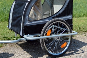 Fahrradanhänger im Test: Welches Modell wird Testsieger?