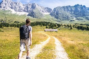 Auf in die Natur mit einem Bollerwagen, der klappbar ist. Im Test erfahren Sie die Vorteile.