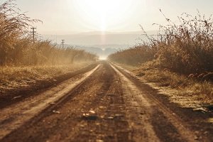 Sie suchen einen Bollerwagen, der faltbar ist? Im Test finden Sie ihn.