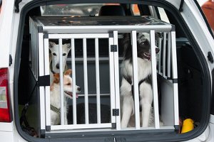 Ein Hundegitter fürs Auto zu kaufen, kann die Sicherheit Ihres Tieres beim Autofahren erheblich erhöhen.