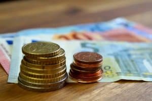 Eine gute Zeckenzange muss nicht teuer sein