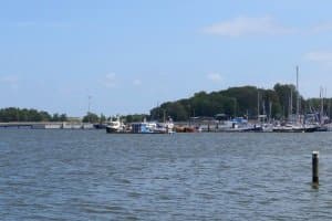 Für einen Seebesuch sollten Sie sich eine gute Zeckenzange kaufen