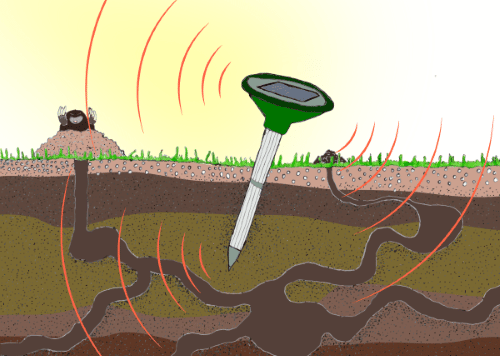 Der Maulwurfschreck stört den Maulwurf durch Geräusche  und/oder Vibration.