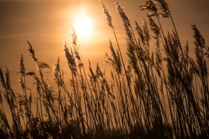 Auch beim Test zu beachten: Gaskocher-Kartuschen niemals direkter Sonneneinstrahlung aussetzen!