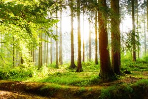 Eigener Wanderschuh-Test: Achten Sie auch auf Gewicht und Material.