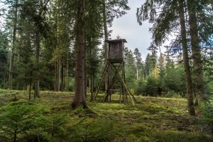 Günstige Zielfernrohre sind für die Jagd nur bedingt geeignet – meist haben sie nur einen vierfachen Zoom.