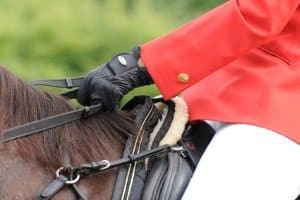 Wie kann ein baumloser Sattel in einem Test bewertet werden?