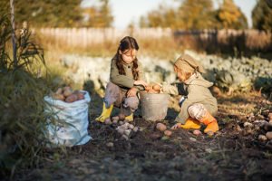 Gute Blumenerde kann auch preiswert sein. Wichtig sind eine lockere Struktur der Erde und genügend Nährstoffe.