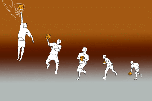 Egal, ob Sie einen Indoor- oder Outdoor-Basketball kaufen wollen, ein Preisvergleich lohnt sich.