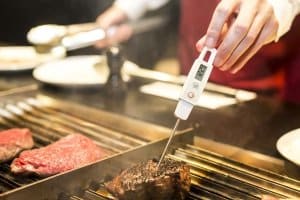 Worauf sollten Sie achten, wenn Sie einen Gasgrill aus Edelstahl einem Test unterziehen?