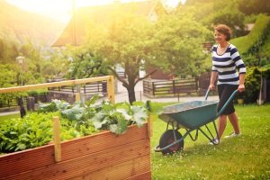 Nicht nur die beste Schubkarre, sondern persönlichen Testsieger finden: Wir sagen Ihnen, was wichtig ist.