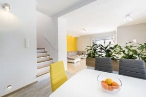 Sie suchen Pflanzkübel in Ihrem Test, die für die Wohnung geeignet sind? Kastenförmige Produkte passen als Raumtrenner.