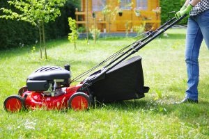 Wir stellen vor in unserer „Test & Vergleich“- Kategorie: Rasenmäher für die Arbeit im Garten.