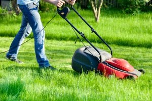 Welcher Rasenmäher ist der beste? Ein Rasenmäher, der sich Ihrem Garten anpasst!