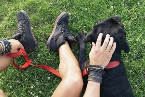 Welche Hundeleinen den eigenen Test bestehen, ist hauptsächlich von Hund und Mensch abhängig.