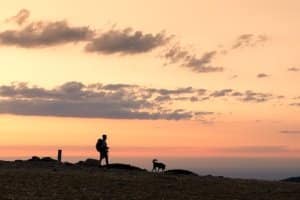 Wie Hundeleinen in einem Testbericht abschneiden, ist in der Praxis meist irrelevant, denn das subjektive Erleben zählt oftmals mehr.