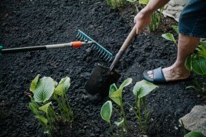 In Ihrem Laubbesen-Test sollten Sie Harke und Besen nicht verwechseln. Erstere hat kurze, parallel angeordnete Zinken aus Stahl.
