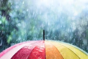 Sprinkler im persönlichen Test: Der Rasensprenger sollte sanft und gleichmäßig bewässern – wie natürlicher Regen.