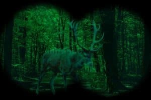 Bestes Nachtsichtgerät? Das ist ein Gerät mit hoher Fotokathoden-Empfindlichkeit und Lichtverstärkung.