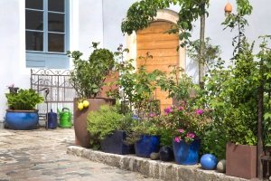 Damit ein Moosentferner auf Ihrer Terrasse einem eigenen Test standhält, sollte er auch wirksam gegen Flechten und Grünbelag sein.