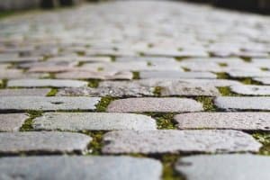 Ob sich ein Moosvernichter im eigenen Test bewährt, hängt auch davon ab, ob Sie ihn an der für ihn bestimmten Stelle einsetzen.