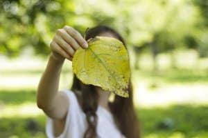 Welche Kehrmaschine ist gut? Das Gerät sollte auch feuchtes Laub beseitigen können.