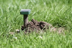 Der Katzenschreck ist im Vergleich zum Maulwurfschreck oft multifunktionaler (optische und akustische Signale).