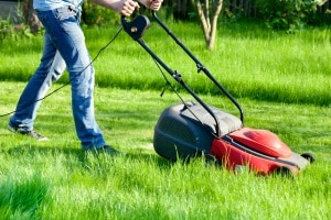 Bester Vertikutierer mit Lüfter: Wie ein Kombigerät im persönlichen Test Ihren Rasen verschönern kann, erfahren Sie hier.
