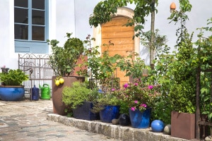 Wollen Sie vor allem große oder billige Blumentöpfe? Was besonders günstig ist, lesen Sie bei uns.