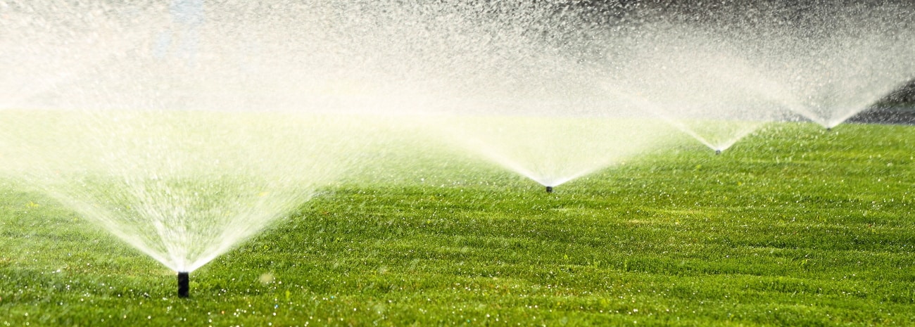 Bevor Sie eine Gartenpumpe kaufen, überlegen Sie, wofür Sie diese wirklich brauchen, z. B. für die Gartenbewässerung.