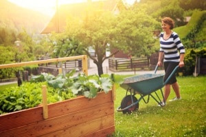 Wollen Sie einen Gartenabfallsack kaufen, sollten Sie seine Größe der Größe des Gartens anpassen. 