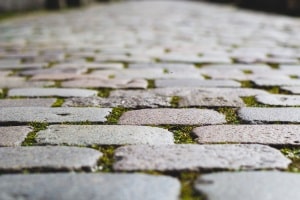 Unkrautvernichter (elektrisch betriebene): Ihr Test wird damit zum Vergnügen und hält dabei den Gartenweg sauber.