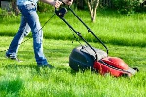 Sie sollten sich eine Gartensteckdose kaufen, wenn Sie elektrische Geräte im Garten nutzen (z. B. einen Rasenmäher).