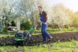 Beste Motorhacke: Benzin oder elektrisch? Test und Vergleich offenbaren Vor- und Nachteile.