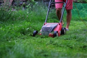Einen Mulchmäher zu kaufen, kann die Arbeit des Mulchens um ein Vielfaches erleichtern.