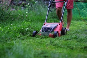 Wir stellen in unserer Kategorie „Test & Vergleich“ den Hochgrasmäher vor.