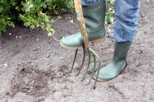 Der Test einer Motorhacke kann sich für Sie lohnen, wenn Sie größere Flächen umgraben müssen.