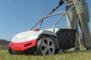 Bester Elektro-Vertikutierer? Das ist ein Modell, welches Moos entfernt, ohne Ihren Rasen zu zerstören.