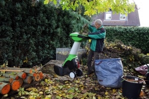 Welche Heckenschere Ihr persönlicher Testsieger wird, hängt auch von der Beschaffenheit Ihrer Hecke ab.