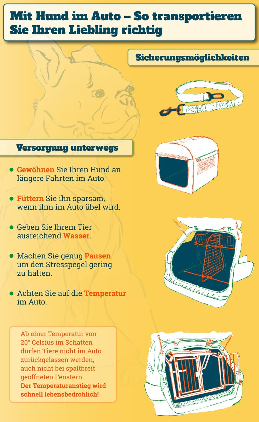 Hund im Auto: Hier einige Tipps zum sicheren Transport.