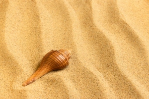 Ist die Tiefbrunnenpumpe sandresistent? Beim Eigen-Test sollten Sie darauf achten, welche Korngröße die Pumpe verkraftet.