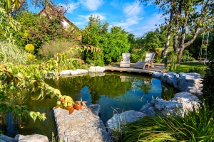 Für einen gesunden Gartenteich: Machen Sie Ihren eigenen Solar-Teichpumpen-Test.