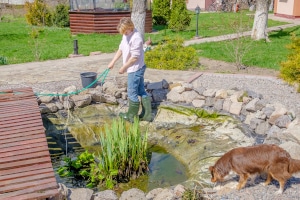 Wo kann ich eine Teichpumpe günstig kaufen? Und wie mache ich meinen eigenen Test für Teichpumpen?