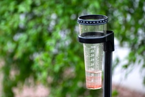 Was ist zu beachten, wenn Sie einen Regenmesser kaufen wollen?