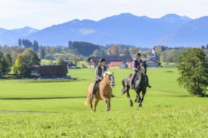 Sie suchen eine vielseitig einsetzbare Airbag-Weste? Ein eigener Test kann zeigen, wozu sich Ihre Weste eignet.